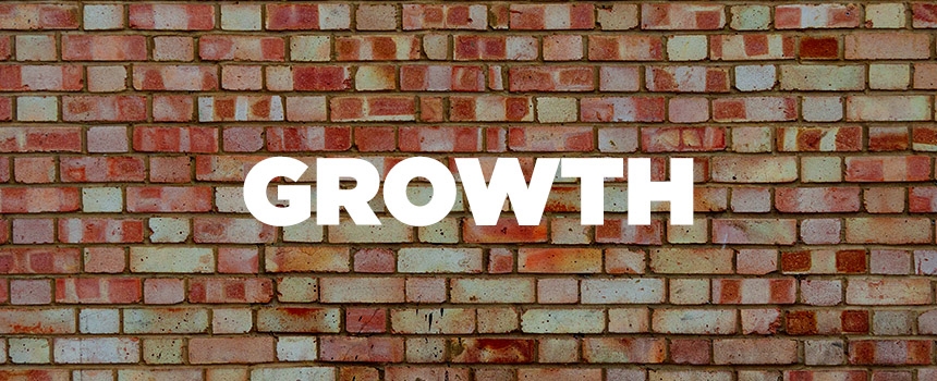 The Retail Zoo reports fifth consecutive year of double-digit EBITDA growth
